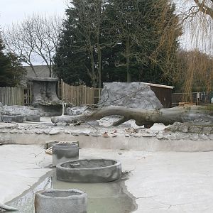 Giant Otter Enclosure Construction #4
