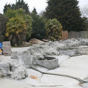 Giant Otter Enclosure Construction #5