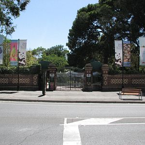 Adelaide Zoo 2008 - Historic main gate from across the street