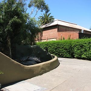 Adelaide Zoo 2008 - Third of three outdoor exhibits for small mammals