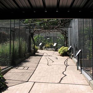 Adelaide Zoo 2008 - Aviaries next to the Nocturnal Animal House