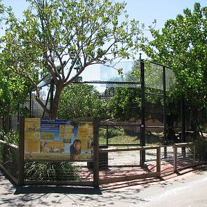 Adelaide Zoo 2008 - Front of the African Lion exhibit