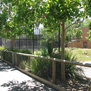 Adelaide Zoo 2008 - Alongside the African Lion enclosure