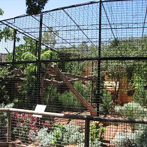 Adelaide Zoo 2008 - Persian Leopard enclosure
