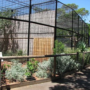 Adelaide Zoo 2008 - Front view of Persian Leopard and African Lion enclosur