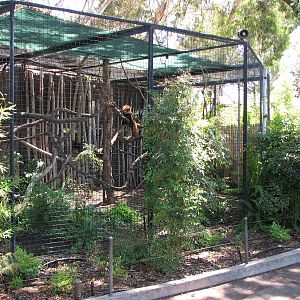 Adelaide Zoo 2008 - Red Panda enclosure