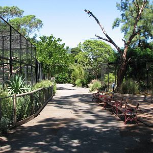 Adelaide Zoo 2008 - Carnivore enclosures