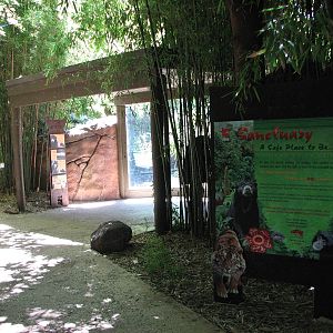 Adelaide Zoo 2008 - Viewing window into the Malayan Sun Bear exhibit
