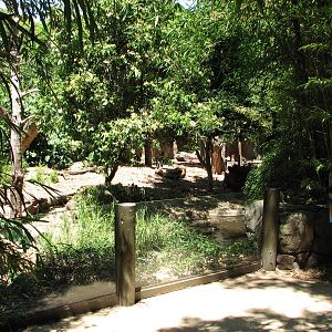 Adelaide Zoo 2008 - View into the Malayan Sun Bear exhibit