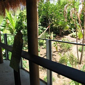 Adelaide Zoo 2008 - Front of the Sumatran Tiger exhibit