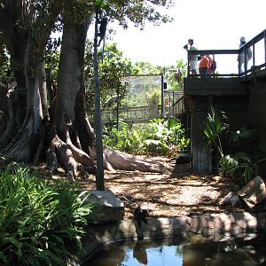 Adelaide Zoo 2008 - Part of the fine Malayan Tapir exhibit