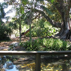 Adelaide Zoo 2008 - Part of the fine Malayan Tapir exhibit