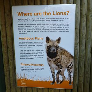 Sign for Hyena arrival!