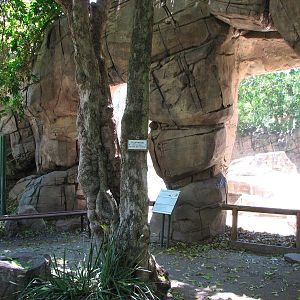 Adelaide Zoo 2008 - Viewing window into the Hamadryas Baboon exhibit