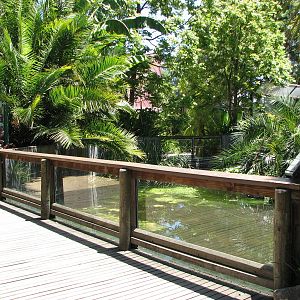 Adelaide Zoo 2008 - Front of the Mandrill exhibit