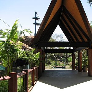 Adelaide Zoo 2008 - Front of the Sumatran Orangutan exhibit