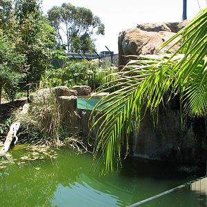 Adelaide Zoo 2008 - Pond in the Sumatran Tiger exhibit