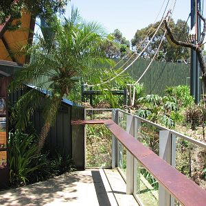 Adelaide Zoo 2008 - Front of the Sumatran Orangutan exhibit