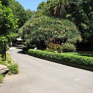 Adelaide Zoo 2008 - Pathway and Flamingo Pond