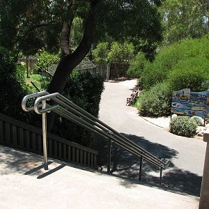 Adelaide Zoo 2008 - Stairway leading down to the Wild Dog and Sea Lion exhi