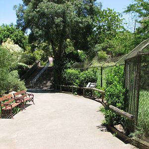 Adelaide Zoo 2008 - Front of the African Wild Dog exhibit