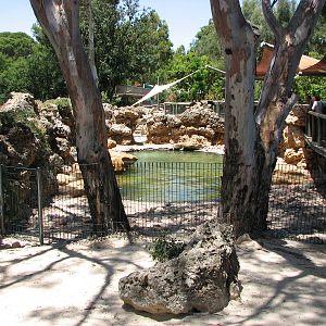 Adelaide Zoo 2008 - Side view of the Australian Sea Lion exhibit