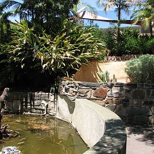 Adelaide Zoo 2008 - Small carnivore exhibits