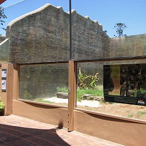 Adelaide Zoo 2008 - Former Gorilla exhibit
