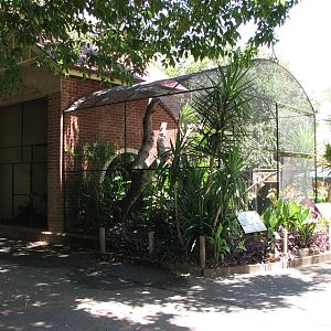 Adelaide Zoo 2008 - Historic listed aviary