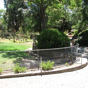 Adelaide Zoo 2008 - Emu exhibit in the Australian Habitat area?