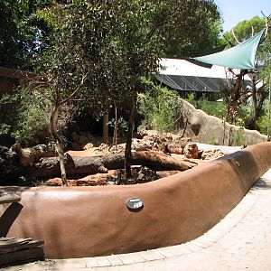 Adelaide Zoo 2008 - Front of Short-beaked Echidna exhibit