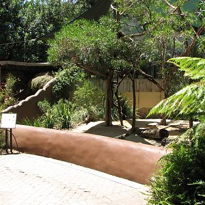 Adelaide Zoo 2008 - Wombat and Koala exhibits