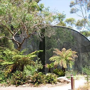 Adelaide Zoo 2008 - Aviary