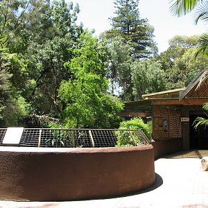Adelaide Zoo 2008 - Reptile House and American Alligator exhibit