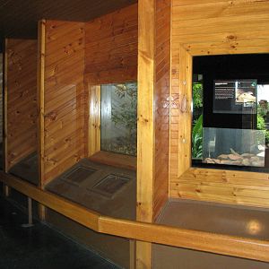 Adelaide Zoo 2008 - Inside the Reptile House
