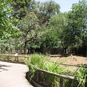 Adelaide Zoo 2008 - Chital Deer exhibit