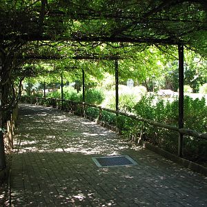 Adelaide Zoo 2008 - Covered pathway alongside the ungulate exhibits