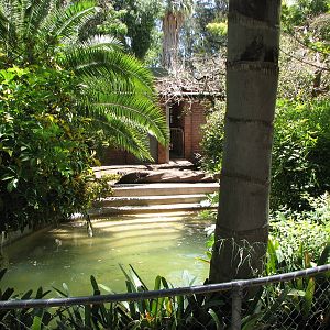 Adelaide Zoo 2008 - View into the Pygmy Hippopotamus exhibit