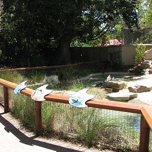 Adelaide Zoo 2008 - Fairy Penguin exhibit