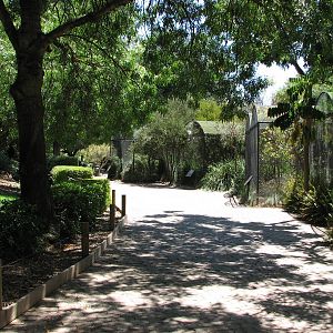 Adelaide Zoo 2008 - Pathway and aviaries
