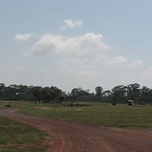 Werribee Zoo - Drive-through exhibit scene