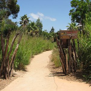 Werribee Zoo - Pathway leading to the African Lion exhibit