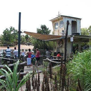 Werribee Zoo - Viewing deck at the Hippopotamus exhibit
