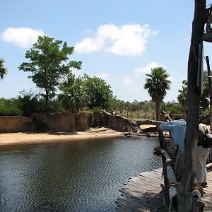 Werribee Zoo - Part of the Hippopotamus exhibit