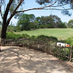 Werribee Zoo - Mixed ungulate exhibit close to the entrance