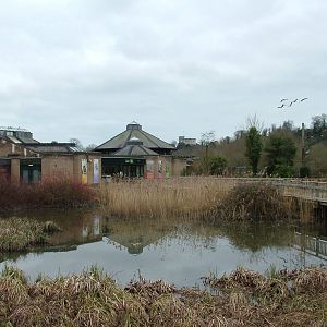 Main entrance at Arundel WWT 13/03/10