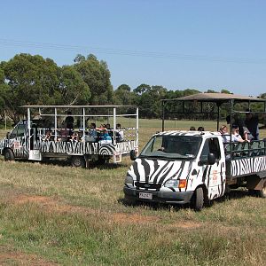 Werribee Zoo - Open safari vehicles