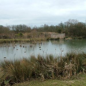 Iraqi Wetlands exhibit at Arundel WWT 13/03/10
