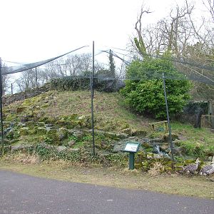 New Zealand Waterfalls exhibit at Arundel WWT 13/03/10