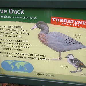 Signage example at Arundel WWT 13/03/10
